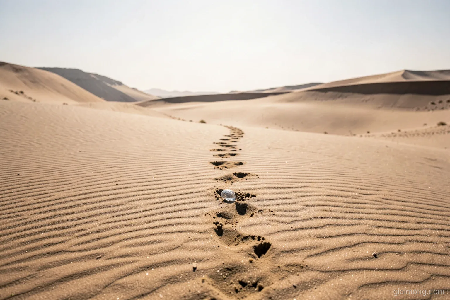 Wind-rippled sand dunes at harsh noon light, a single set of footprints trailing toward a hazy horizon shimmer, an empty water bottle half buried