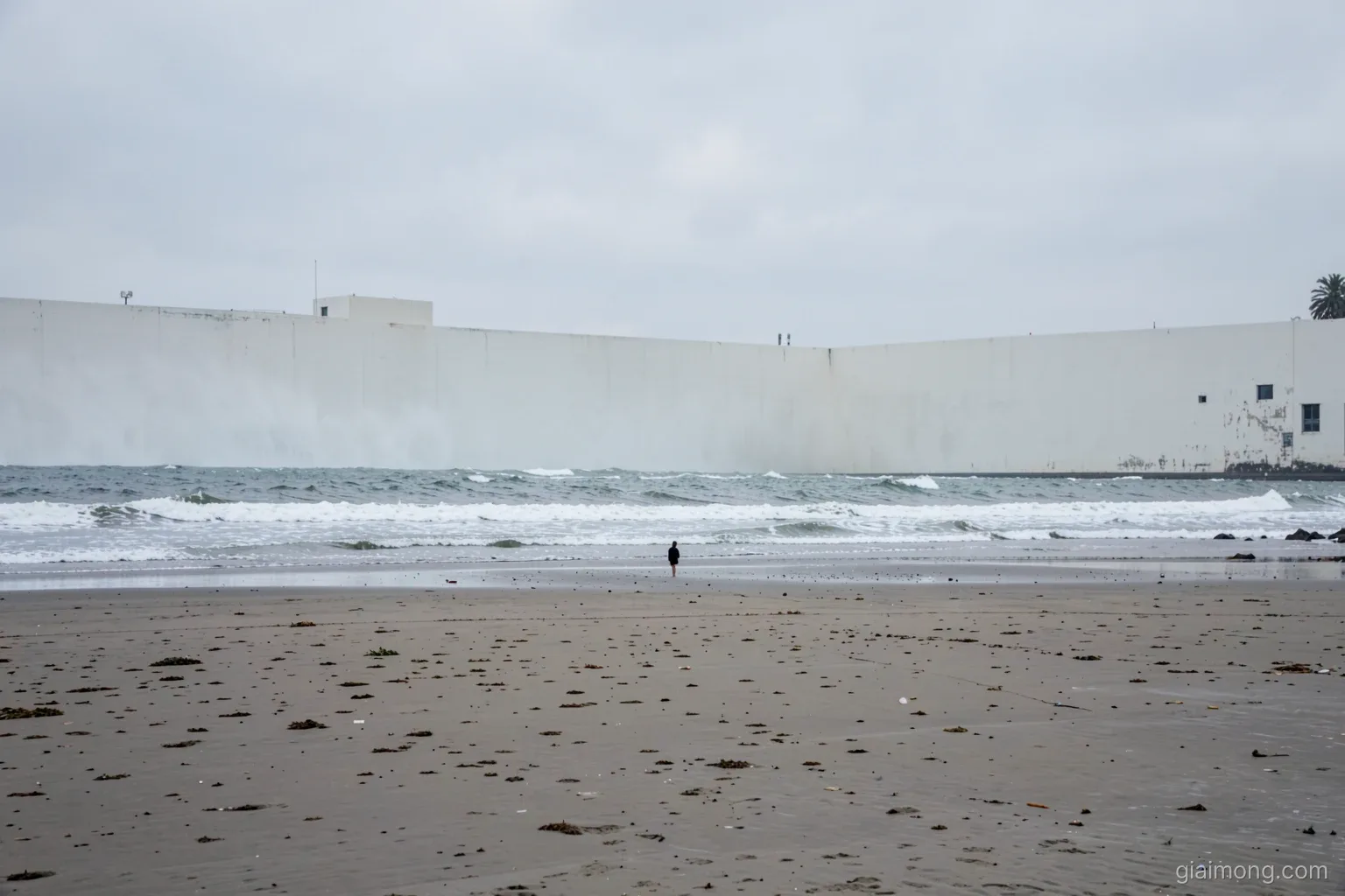 A vast pale wall of seawater rising far offshore under a silver overcast sky, an empty beach with exposed wet sand, tiny lone figure seen from behind